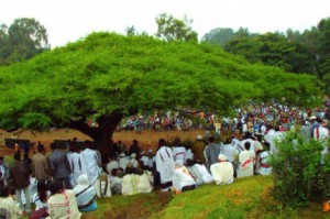 Open Letter to those Oromo Elites