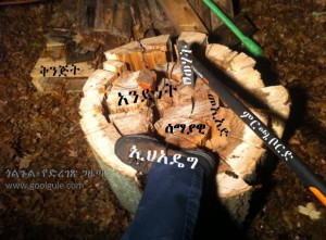 ማክሰምና መሰንጠቅ – ባንዳና ባርነት