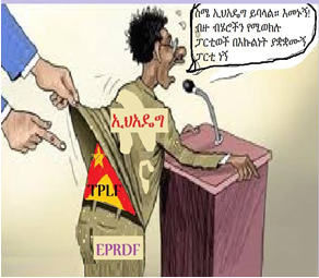 ሰማያዊ ፓርቲ “ኢህአዴግ” በሚል ስም የተመዘገቡ ሁሉም ዕጩዎች እንዲሰረዙ ጠየቀ