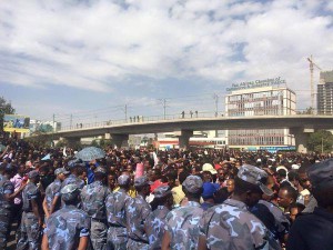 እረኛ የሌለው ከብት እና መሪ የሌለው ሕዝብ አንድ ናቸው