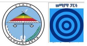 ከሰማያዊና ከአንድነት ሰሜን አሜሪካ የድጋፍ ድርጅቶች ማህበራት የተሠጠ መግለጫ