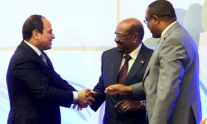 Perspectives on the Declaration of Principles regarding the Grand Ethiopian Renaissance Dam