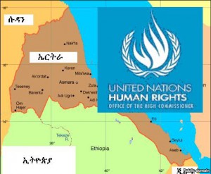 በኤርትራ ላይ ምርመራው እንዲቀጥል ተወሰነ