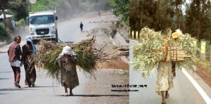 ኢትዮጵያ ከ184 አገራት 171ኛዋ ደሃ አገር!