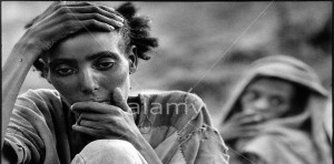 በትግራይ ድርቅ ህይወት እየቀጠፈ ነው!