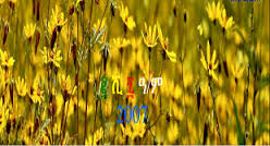 መልካም አዲስ ዓመት!