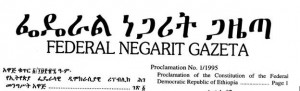 ባለቤት ያጣ ሕገ መንግሥት?