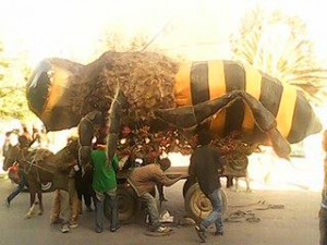 ንቧ ድፍት ኣለች