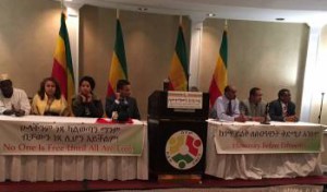 Representatives of Diverse Ethiopians formed: