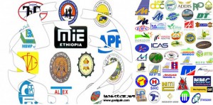 ኢህአዴግ ኅብረ ብሔር ፓርቲ ሲሆን ኤፈርትና ሚድሮክ ይዋሃዳሉ?