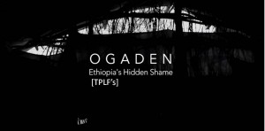 ኦብነግ፤ ከህወሓቶች ጋር መቀመጥ በሕዝብ ደም መቀለድ ነው!