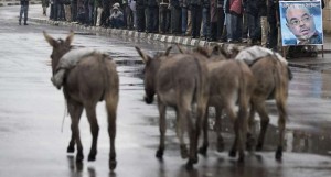 የሕወሃት ብጥብጥ እና ሽሽት- ከውስጥ አዋቂ ምንጭ