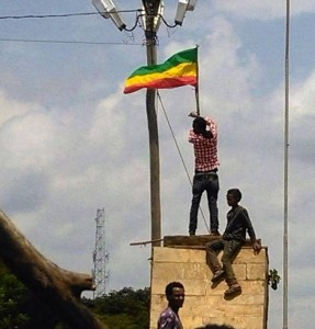 Ethiopia on the transition from total dictatorship: the role of individuals and organisations