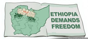 The Untold Plight of the Amhara People