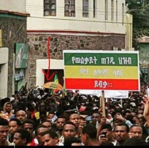 በወልቃይት ጉዳይ የተሰጥ ምላሽ