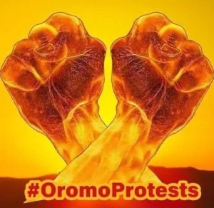 መጪው ቅዳሜ ለት በመላው ኦሮሚያ ሰላማዊ ሰልፍ ይካሄዳል