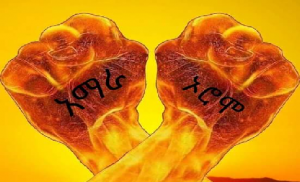 «AmOr!» «አሞር!»