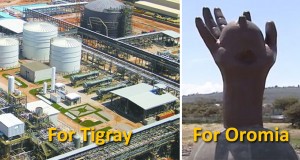 ዲገላው የጎረቤታችን ድመት የገጠመው የሞት አደጋና የወቅቱ የኢትዮጵያ ህዝብ ትግል በንፅፅር ሲታዩ