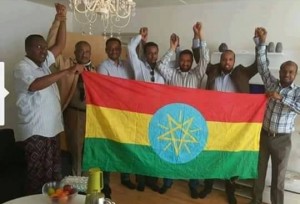ከህወሃት የአናሳዎች ቁማር ጨዋታ ይጠንቀቁ!!