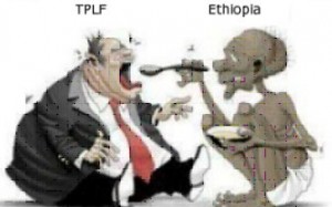 “ዕድሜ ለግንቦት ሃያ…”