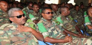 የህወሓት “መከላከያ ሰራዊት” በበቃኝ ጥያቄ ተወጥሯል፤ ጄኔራሎች አሉበት!