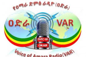 የዐማራ ድምፅ ሬድዮን እንርዳ