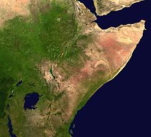 የሚንተከተከው የአፍሪካ ቀንድ አካባቢና አንድምታዎቹ!