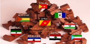 የ“ግንቦት 20” ሃያ መርዛማ ፍሬዎች! (ክፍል 1)