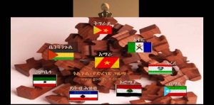 የ“ግንቦት 20” ሃያ መርዛማ ፍሬዎች  — የአንድ ጎጥ የበላይነትና የመበታተን አደጋ!