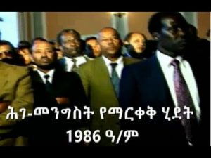 ሕገመንግሥቱ የፀደቀው በቀጥታ ሕዝቡ ወስኖበት ሳይሆን በተወካዮች ነው – ዶ/ር ነጋሦ ጊዳዳ
