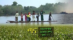 መንግስት እንደ ሞስኮ ጣና እንደ ፑቲን!