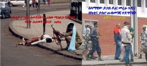 የግፍ ለከት አልባው ህወሓት