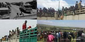 የህወሃት አጀንዳ + የዘር ፖለቲካ + የሜንጫ ፖለቲካ – መጨረሻው ተያይዞ …