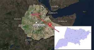 የቅማንት ጉዳይ!
