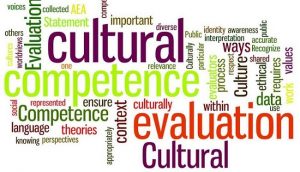 Cultural competence is a game changer for Ethiopians in the Diaspora