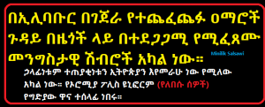 በኤሊባቡር ከ20 በላይ ዐማሮች በአንድ ቀን ብቻ በገጀራ ተጨፍጭፈው ተገድለዋል