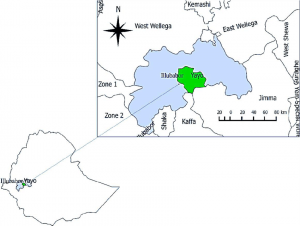 አማሮችን በገጀራ! ህወሃት በኢሉባቦር እየሰራ ነው