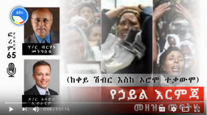 የኃይል እርምጃ መዘዝና መፍትሄ (ከቀይ ሽብር እስከ ኦሮሞ ተቃውሞ)