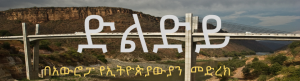“ኢትዮጵያ ወዴት፤ የተረጋጋ ሽግግርና የዴሞክራሲያዊ ስርአት ግንባታ”