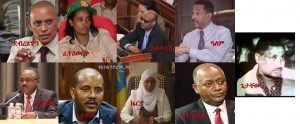 An Obstruction of Justice charge has yet to be filed against the TPLF’s Executive Committee Members