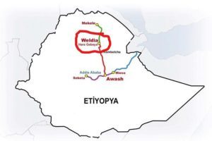 Ethiopia: AHRE condemns killings of civilians in Woldia town during a religious festival