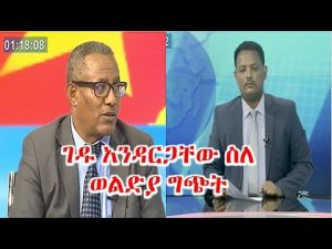 የገዱ አንዳርጋቸው መግለጫ ሲተረጎም