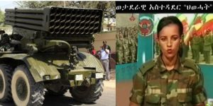 በኢትዮጵያ የመፈንቅለ መንግሥት ይዘት ያለው ወታደራዊ አገዛዝ ሊታወጅ ነው!