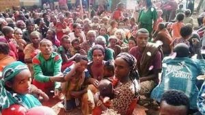 የጎሳ ፖለቲካ ጣጣ፣ ‘ሀዘናችን ቅጥ አጣ’