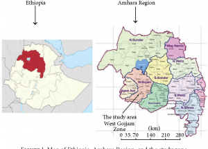 በሐሰት ውንጀላ ተመራማሪ ተማሪዎች በግፍ ተገደሉ