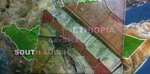 ገንዘብና ሥውር እጆች ተዋናይ የሆኑበት የጋምቤላ የርዕሰ መስተዳድር ምደባ