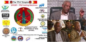 “የስብሃት ማፊያ ቡድን” – ህወሓት መፍረስ፤ EFFORT መወረስ አለበት