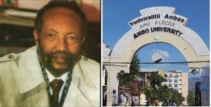 የሎሬት ፀጋዬ ማዕከል ሊቋቋም ነው