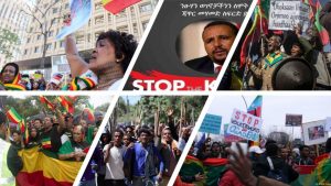 የተቃውሞ ሠልፍ “ሱስ”?!