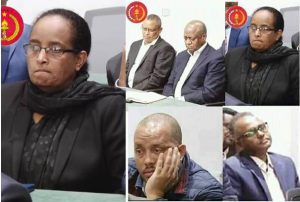 በኢትዮጵያ የሚኒስትሮች ም/ቤት የህወሓት ኅልውና እየከሰመ ነው